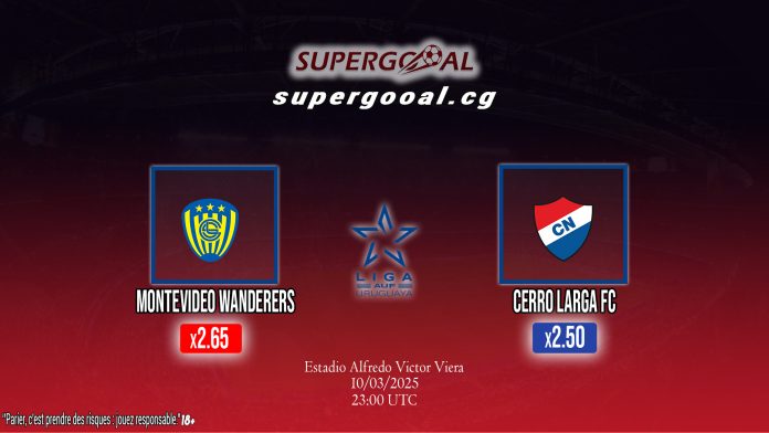 MONTEVIDEO WANDERERS