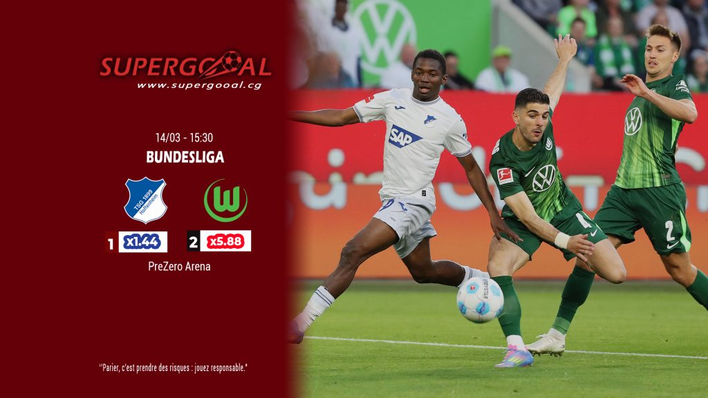 TSG HOFFENHEIM – VFL WOLFSBURG.jpg